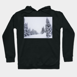 Winter landscape Hoodie